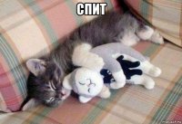 спит 
