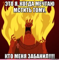 это я, когда мечтаю мстить тому, кто меня забанил!!!!