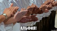  альфия!