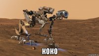  коко