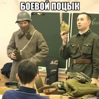 боевой поцык 