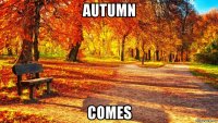 autumn comes