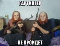 гартингер не пройдет