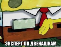  эксперт по двенашкам