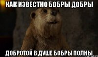 как известно бобры добры добротой в душе бобры полны