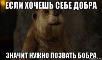 если хочешь себе добра значит нужно позвать бобра