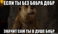 если ты без бобра добр значит сам ты в душе бобр