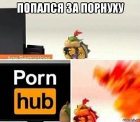 попался за порнуху 