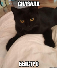 сказала быстро