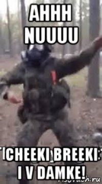 ahhh nuuuu cheeki breeki i v damke!