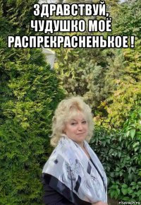 здравствуй, чудушко моё распрекрасненькое ! 