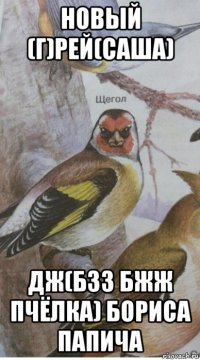 новый (г)рей(саша) дж(бзз бжж пчёлка) бориса папича