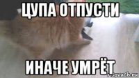 цупа отпусти иначе умрёт