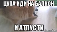 цупа иди на балкон и атпусти