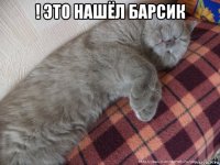 ! это нашёл барсик 