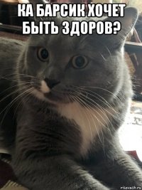 ка барсик хочет быть здоров? 