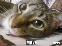  мау!