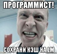 программист! сохрани кэш на lm