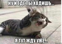 ну и где ты ходишь... я тут жду уже...
