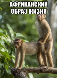 африканский образ жизни 
