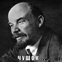  ч у ш о к . . .