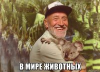  в мире животных