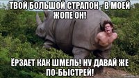 твой большой страпон - в моей жопе он! ёрзает как шмель! ну давай же по-быстрей!