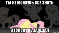 ты не можешь все знать в голову не залезал