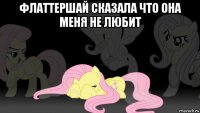 флаттершай сказала что она меня не любит 