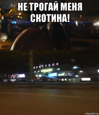 не трогай меня скотина! 