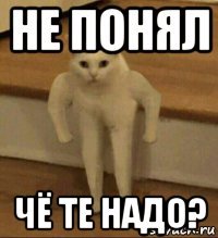 не понял чё те надо?