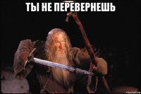 ты не перевернешь 