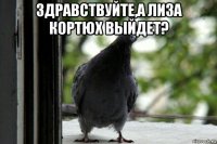 здравствуйте,а лиза кортюх выйдет? 