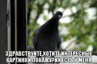  здравствуйте,хотите интересные картинки покажу?их есть у меня