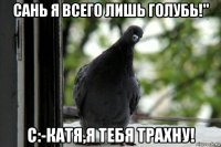 сань я всего лишь голубь!" с:-катя,я тебя трахну!
