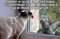 саня-кот: ух ты свежее мясо,я столько всего перетрахал, что у меня спид,а такое я ещё не трахал. давай ебаться! 