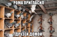 рома пригласил друзей домой