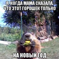я, когда мама сказала, что этот горошек только на новый год