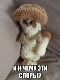  и к чему эти споры?