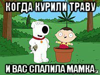 когда курили траву и вас спалила мамка