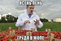 ясень пень грудя в жопе