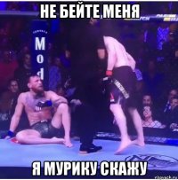 не бейте меня я мурику скажу
