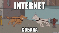 собака