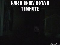 как я вижу кота в темноте 