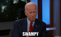  swampy