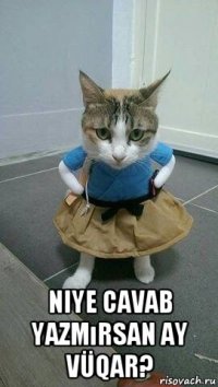  niye cavab yazmırsan ay vüqar?