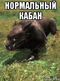 нормальный кабан 
