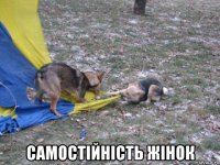  самостійність жінок