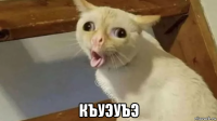  къуэуъэ