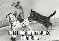  поезжай-ка в турцию, милочка